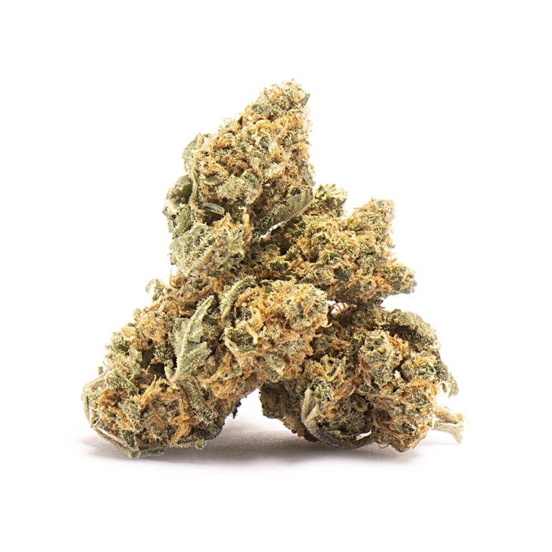 Small Buds CBD Indoor blueberry premium pas cher 100% suisse