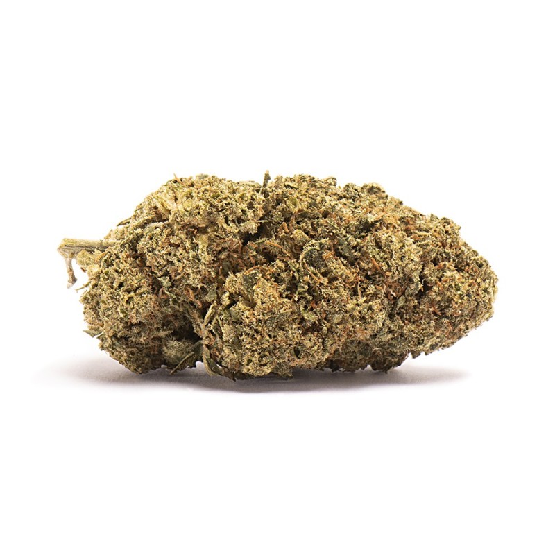 fleurs de cannabis CBD Lemon Skunk Indoor de production suisse premium