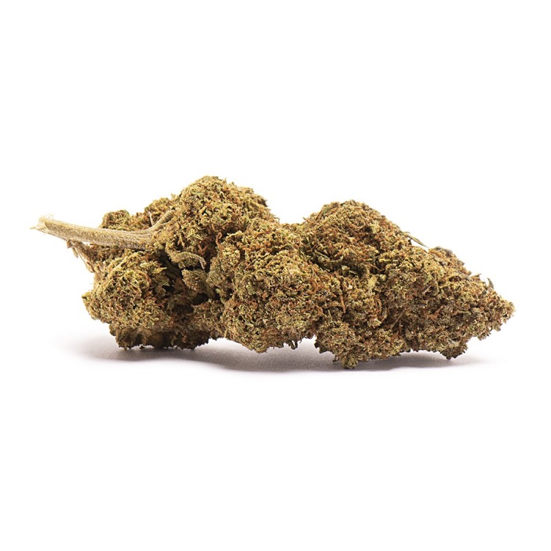 Strawberry CBD greenhouse
